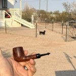 IMG_5274.jpeg IMG_5274.jpeg