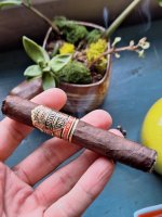 1000010433.jpg 1000010433.jpg