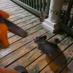 20250718_233813.jpg 20250718_233813.jpg