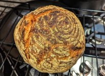 1000004254.jpg 1000004254.jpg