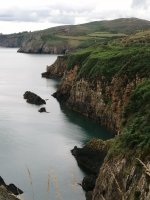 IMG_20250719_144639.jpg IMG_20250719_144639.jpg