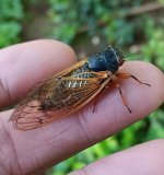 20250517_085034.jpg 20250517_085034.jpg