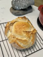 IMG_9771.jpeg IMG_9771.jpeg