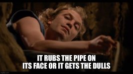 IMG_5376.jpeg IMG_5376.jpeg