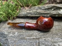 IMG_1904.jpeg IMG_1904.jpeg