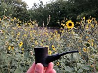 1000027637.jpg 1000027637.jpg