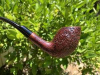 IMG_1060.jpeg IMG_1060.jpeg