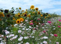 Messenger_creation_C572EABA-DDF5-416C-A315-36D36520855C_edit_2446958260590676.jpg Messenger_creation_C572EABA-DDF5-416C-A315-36D36520855C_edit_2446958260590676.jpg