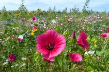 Messenger_creation_FE3BB289-9292-4B78-B898-85A375B92F9A.jpeg Messenger_creation_FE3BB289-9292-4B78-B898-85A375B92F9A.jpeg