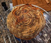 1000004288.jpg 1000004288.jpg