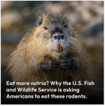 Screenshot 2025-08-07 at 7.02.08 AM.png Screenshot 2025-08-07 at 7.02.08 AM.png