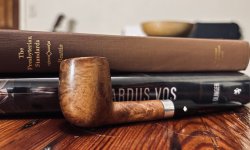 IMG_8564.jpeg IMG_8564.jpeg