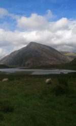 Messenger_creation_3189190D-A038-4162-A345-C6CDE8F1D8AF.jpeg Messenger_creation_3189190D-A038-4162-A345-C6CDE8F1D8AF.jpeg