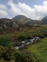 IMG_20250807_143245.jpg IMG_20250807_143245.jpg