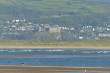 Messenger_creation_BFC65412-05E2-4FF7-98FC-349D9745A0AF.jpeg Messenger_creation_BFC65412-05E2-4FF7-98FC-349D9745A0AF.jpeg