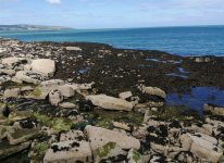 Screenshot_20250809_131359.jpg Screenshot_20250809_131359.jpg