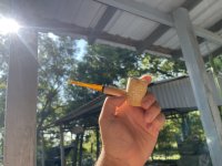 IMG_5866.jpeg IMG_5866.jpeg