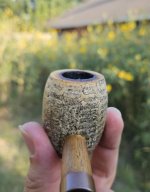 1000028427.jpg 1000028427.jpg