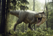 Screenshot 2025-08-11 at 10.04.29 PM.png Screenshot 2025-08-11 at 10.04.29 PM.png