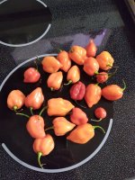 1000001741.jpg 1000001741.jpg