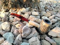 IMG20240309175043~2.jpg IMG20240309175043~2.jpg