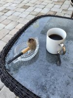 1000001002.jpg 1000001002.jpg