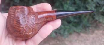 20250726_133958.jpg 20250726_133958.jpg