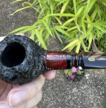 IMG_0870.jpeg IMG_0870.jpeg