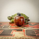 DSC05600.jpg DSC05600.jpg