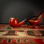 DSC07831.jpg DSC07831.jpg