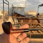 IMG_5623.jpeg IMG_5623.jpeg