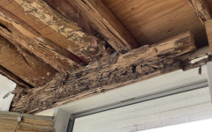 Screenshot 2025-08-23 at 10.23.32 PM.png