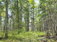 25 Aug 2025 b.jpg 25 Aug 2025 b.jpg