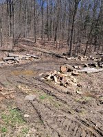 1000004594.jpg 1000004594.jpg