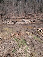 1000004592.jpg 1000004592.jpg