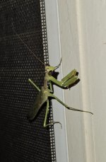 20250829_233407.jpg 20250829_233407.jpg