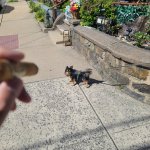 20250830_151347.jpg 20250830_151347.jpg