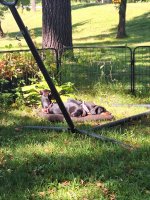 1000011779.jpg 1000011779.jpg