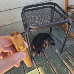 20250830_164602.jpg 20250830_164602.jpg