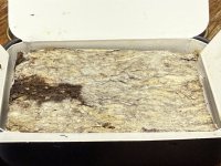 IMG_4212.jpeg IMG_4212.jpeg