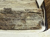 IMG_4213.jpeg IMG_4213.jpeg