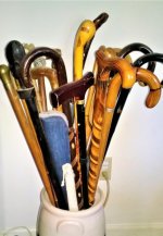 Walking Sticks.jpg