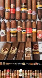various cigars.jpg