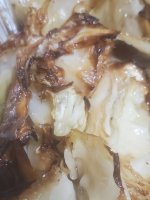 20250906_182535.jpg 20250906_182535.jpg