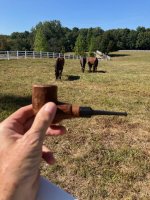 IMG_3650.jpg IMG_3650.jpg