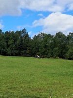 1000007752.jpg 1000007752.jpg