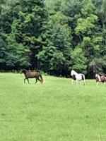 1000007758.jpg 1000007758.jpg