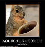 The_House_of_Voo_Too-squirrels-and-coffee.jpeg