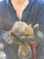 IMG-20241026-WA0002.jpg IMG-20241026-WA0002.jpg