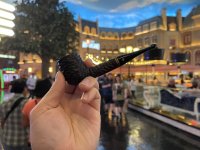 IMG_6959.jpeg IMG_6959.jpeg